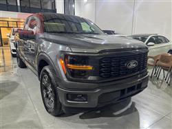 فۆرد F-150
